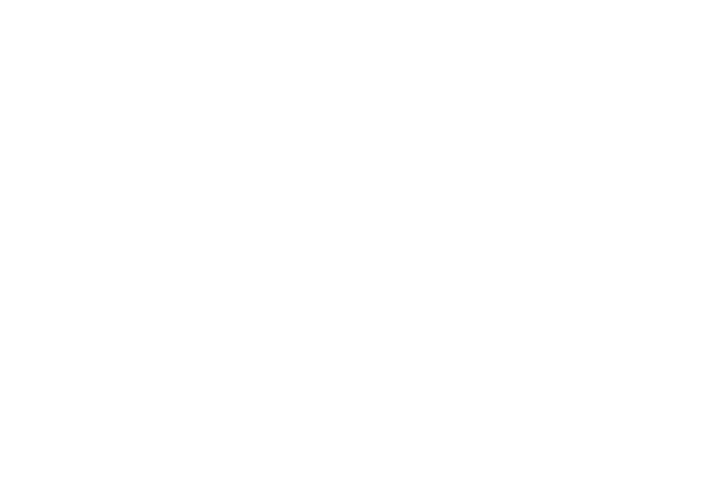 Logo White